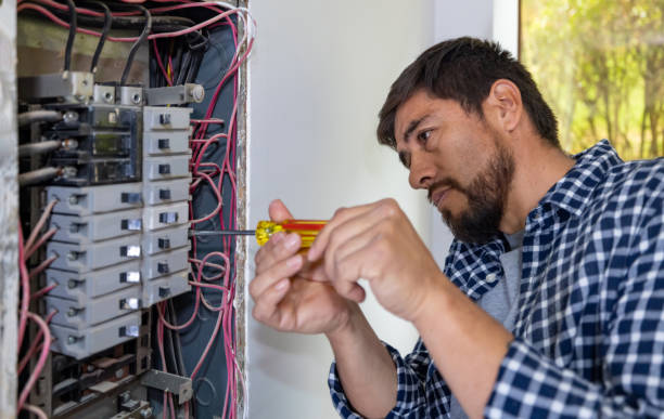 Best Electric Panel Repair  in Escanaba, MI
